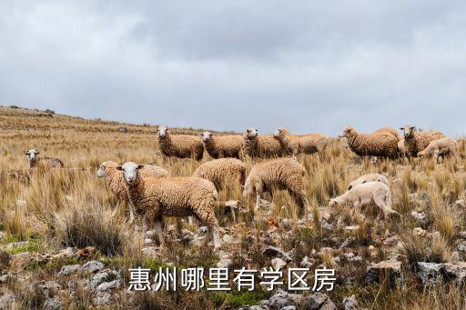 惠州哪里有学区房