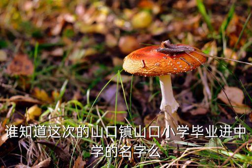 谁知道这次的山口镇山口小学毕业进中学的名字么