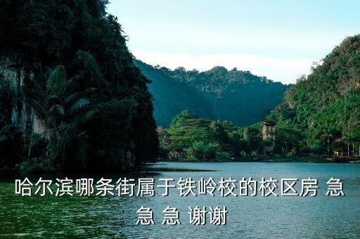 哈尔滨哪条街属于铁岭校的校区房 急 急 急 谢谢