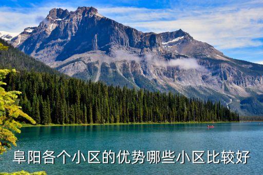 阜阳城北双学区房有哪些，阜阳二手车行有哪些