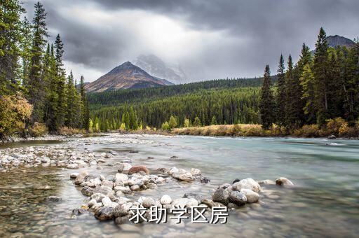 求助学区房