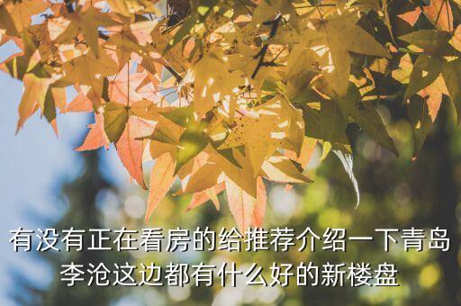 李沧区学区房新楼盘有哪些，有没有正在看房的给推荐介绍一下青岛李沧这边都有什么好的新楼盘