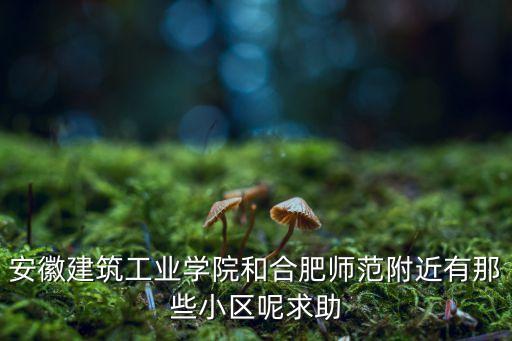 建工小区学区房有哪些房源，都有哪些楼盘是学区房啊
