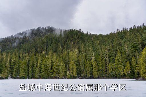 盐城中海世纪公馆属那个学区