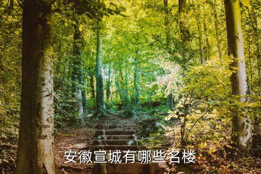 宣城学区房有哪些新楼盘，安徽宣城有哪些名楼