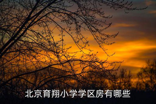 北京小学的学区房有哪些，北京哪些学区房可以上中关村一小或者三小