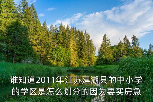 谁知道2011年江苏建湖县的中小学的学区是怎么划分的因为要买房急