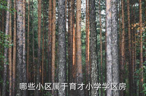 哪些小区属于育才小学学区房