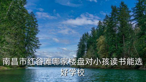 南昌双学区房有哪些楼盘，南昌红谷滩哪些楼盘可读育新小学