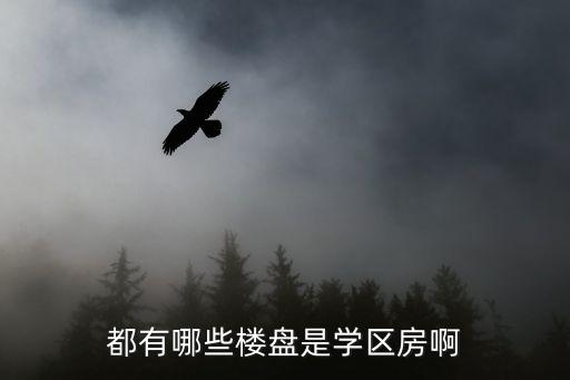都有哪些楼盘是学区房啊