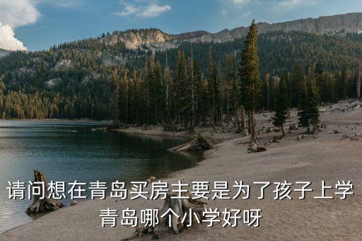 请问想在青岛买房主要是为了孩子上学青岛哪个小学好呀
