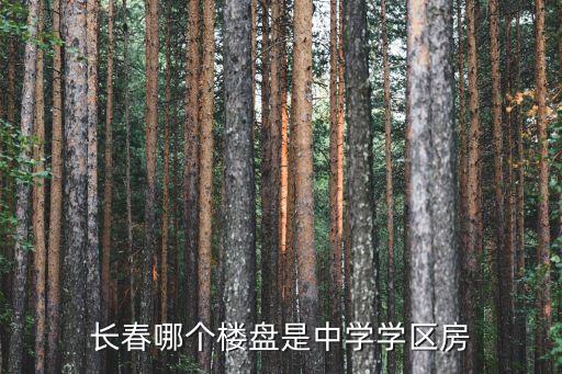 长春哪个楼盘是中学学区房