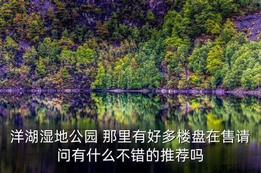 洋湖湿地公园 那里有好多楼盘在售请问有什么不错的推荐吗