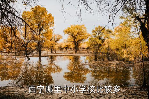 西宁哪里中小学校比较多