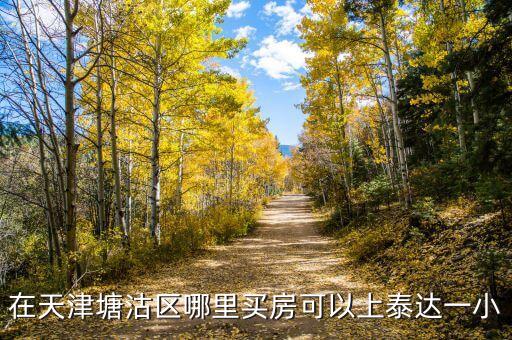 在天津塘沽区哪里买房可以上泰达一小