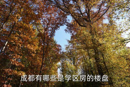 成都有哪些是学区房的楼盘
