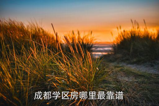 成都学区房哪里最靠谱