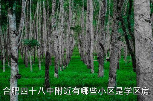 42中学区房都有哪些，合肥四十八中附近有哪些小区是学区房
