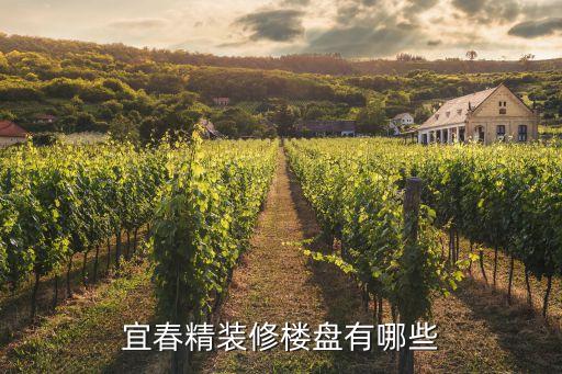 宜春精装修楼盘有哪些
