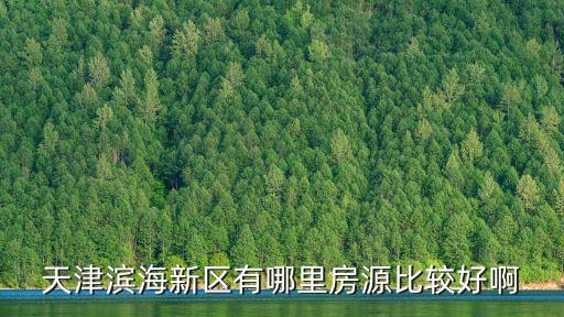 天津滨海新区有哪里房源比较好啊