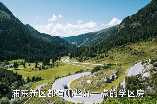 浦东新区都有哪些好一点的学区房