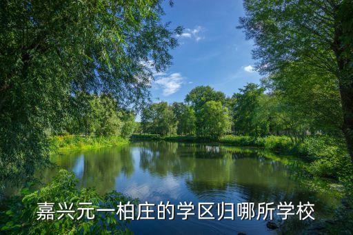 嘉兴元一柏庄的学区归哪所学校