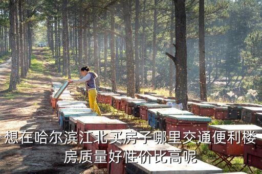 想在哈尔滨江北买房子哪里交通便利楼房质量好性价比高呢