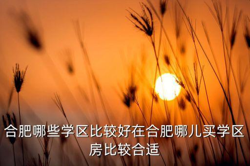 合肥哪些学区比较好在合肥哪儿买学区房比较合适