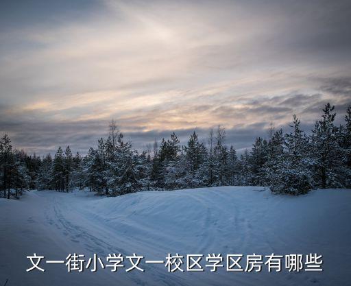文一街小学文一校区学区房有哪些