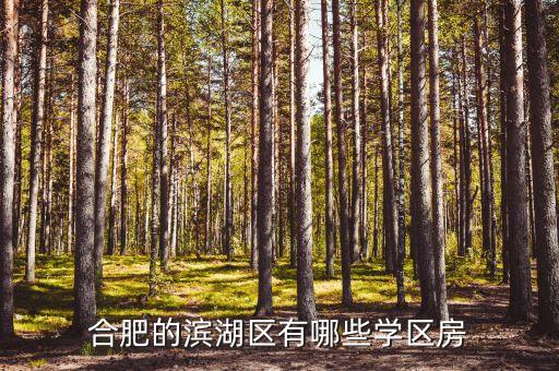 合肥的滨湖区有哪些学区房