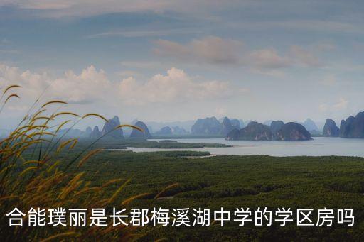 合能璞丽是长郡梅溪湖中学的学区房吗